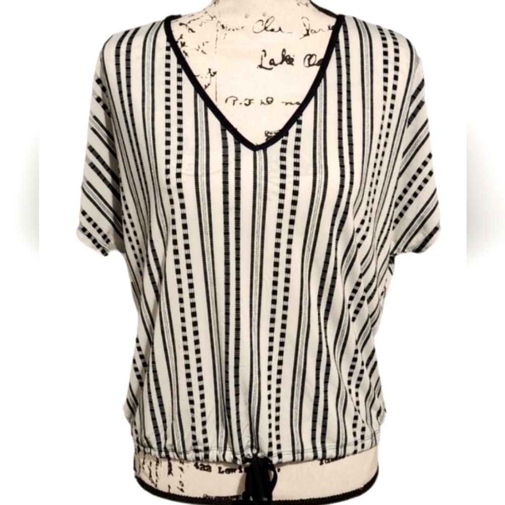 Lavish Striped Blouse